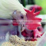 MINISTAR 2000 Animal Feed Factory / Chicken Feed Factory / Powder Feeding Machine thumbnail-3