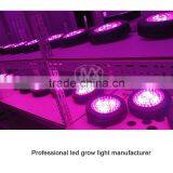 China Factory Online Shop UFO Led Grow Light For Garden thumbnail-3