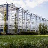 Tempered Glass Greenhouse/Hydroponics Greenhouse/Commercial Greenhouse thumbnail-3