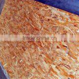 1220*2440MM 15MM Oriented Strand Board/OSB Board thumbnail-4