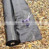 Ground Cover Fabric/ground Cover Waterproof/plastic Ground Cover thumbnail-2