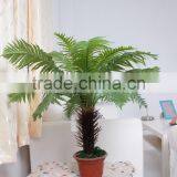 SJ300916 High Initation Fake Bonsai Tree/cycas Foliage Plant Tree thumbnail-3