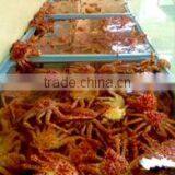 Exportadora Global Seafood Chile S.a. company overview - view 1 thumbnail