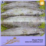 2015 New Processing Halal Seafood Top Quality Fish Loin thumbnail-6