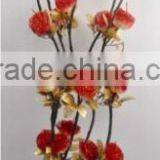 Hot Sale Dried Flowers Various Styles for Home Decor thumbnail-1