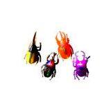 Flashing Coleoptera thumbnail-1