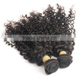 Thick Ends High Quality Wholesale Indian Hair, Double Drawn No Shed Virgin Indian Curly Hair