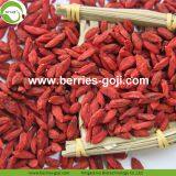 Factory Hot Sale Dried Himalayan Goji thumbnail-1