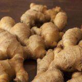 Wholesale Wholesale Wholesale Organic Fresh Ginger Price Quality Ginger thumbnail-4