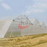 Saw Tooth Greenhouse  China Glass Greenhouse manufacturer