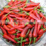 Oleoresin Capsicum Extract Powder Dihydrocapsaicin/Capsaicin and Capsaicinoids thumbnail-6