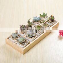 Factory Planter Vase Set Luxury 10 Pcs Small Pots Flower Pot Golden Wood Tray Felt Ceramic Home Used With Flower/green Plant 30 thumbnail-2