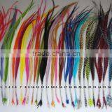 2016 Most Popular Clip-feather Striped Ombre Solid Feather for Hair Extension Feather With Micro Ring Beads Quality Choice thumbnail-2