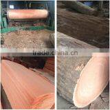 Grade A-D 0.2-0.35mm Doorskin Bintangor Face Veneer thumbnail-5