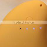 Natural Mango Keyring Mobile Power for Decoration thumbnail-2