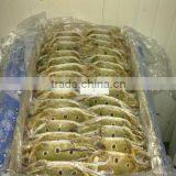 Three Sport Crab thumbnail-1