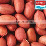 Red Skin Peanut 50/60