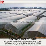 15 Years Warranty 100% Bayer Reinforced Cheap Plastic Agriculture Single Span Tunnel Greenhouse Quality Choice Most Popular thumbnail-6