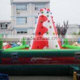 inflatable rock climbing in inflatable bouncer