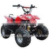 110cc Atv for Kids for Cheap Sale From Zhejiang