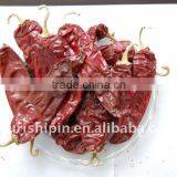 Red Chili Pepper thumbnail-3