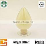 100% Natural Gingerol Ginger Extract Powder Water Soluble thumbnail-6