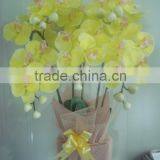 Artificial Flower,moth Orchid thumbnail-1