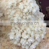 Wholesale Vharming Amazing Nature White Crystal Quartz Cluster for Home Decoration thumbnail-2