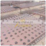 Anping High Quantity Aluminum Perforated Metal Mesh for Decorative