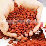 Ning Xia Manufacturer Goji Berries Dried Fruit thumbnail-1