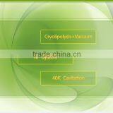 Cellulite Reduction None-surgery Mulitfunction Beauty Fat Freezing Machine Buy Cryolipolysis Slimming Machine Price thumbnail-4