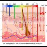 Wrinkle Removal BP016 LED Facial Photon Light Skin Rejuvenation Skin Rejuvenation Therapy Photodynamic PDT Beauty Machine thumbnail-5