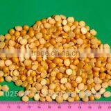 Yellow split polished peas from Ukraine