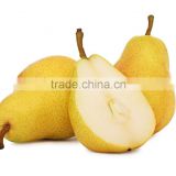 bulk pear juice concentrate for wholesale pure fruit flavor