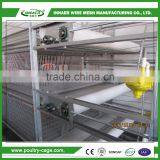 Can add automatic drinking water system automatic cage of broiler