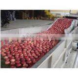Industrial Vegetable and Fruit Washing Machine thumbnail-2