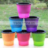 Mini Decorated Fancy Cute Self Watering Flower Pot thumbnail-1