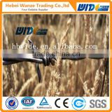 High quality cheap barbed iron wire / galvanized barbed wire for protection (CHINA SUPPLIER)