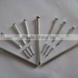 Galvanized Steel Concrete Nail Thumb Brand thumbnail-6