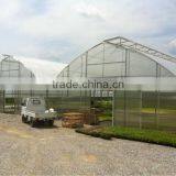 Greenhouse Sale Agriculture Plastic Film Greenhouse for Sale thumbnail-2