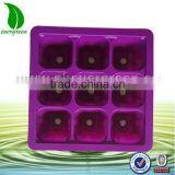 Factory Price Colorful 9 Holes Plastic Seed Tray