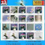 3-8mm AS/NZS 2208 Accredited Glass Pattern Design thumbnail-4