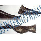 Natural Goat Polished Horns thumbnail-1