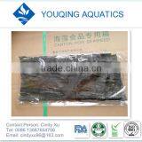 Dried Konbu thumbnail-1