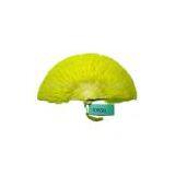 Sell Feather Fan thumbnail-1