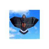 Black Hawk Kite