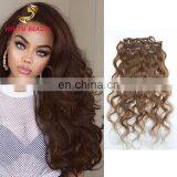 Youth Beauty Hair top quality brazilian virgin human clip in hair extension in body wave full cuticle can be dyed 9A grade