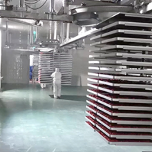 FD2000 2000kgs Industrial Large Food Freeze Dryer Machine Production Scale thumbnail-2