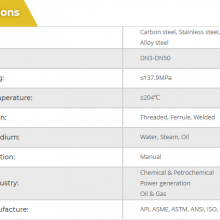 INSTRUMENT CHECK VALVE thumbnail-2
