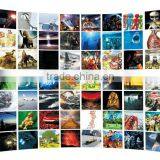 Amusement Park Egg 9d Simulator